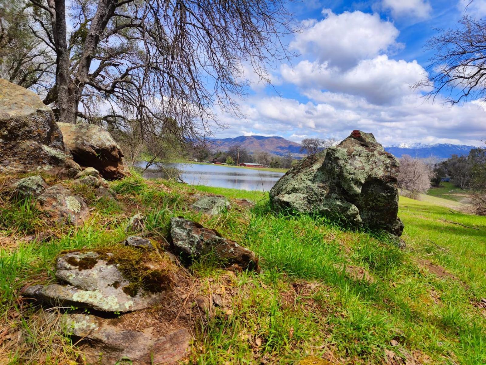 Rolling Oaks Ranch - 200 Acres Of Lakeside Beauty & Countryside Serenity Mariposa Exterior foto