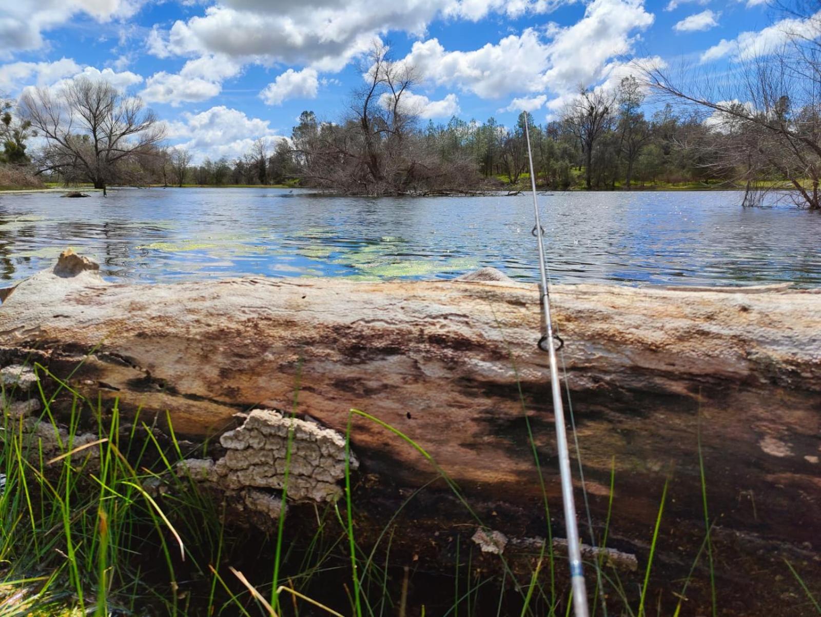 Rolling Oaks Ranch - 200 Acres Of Lakeside Beauty & Countryside Serenity Mariposa Exterior foto